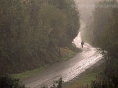 Clima Chiloé